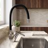 Robinet de cuisine Calani LUPI black