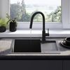 Stainless steel sink Paul Black