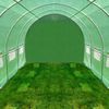 Tunnel Garten von 4 x 2,5 Metern Bluegarden