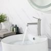 Bathroom faucet Rea Foss Brush Nickel Low