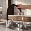 Robinet de cuisine Calani LUPI black