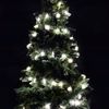 Luci di Natale Ghirlanda LED Fiocchi di neve