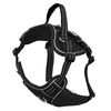 Leash and harness for a dog PJ-055 black M