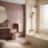 Set dus PREMIUM Rea Maxim Brush Copper
