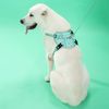 Leash and harness for a dog PJ-061 green L