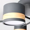 Lamp APP528-8C