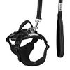 Leash and harness for a dog PJ-047 black XS