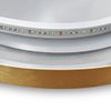 Veidrodis LED OVL 50x100cm Brush Gold