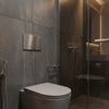 Concealed WC Frame Set Slim 024N with Titan T Brush Steel