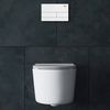 Conjunto de molduras para vasos sanitários ocultos com botão K011A-Q T White Glass