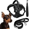 Leash and harness for a dog PJ-051 black  S