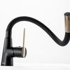 Rubinetto da cucina Rea ICON Black/Gold