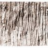 Dywan Pluszowy Nature 4D Beige Rock