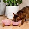 Miski Ceramiczne Dla Psa lub Kota Różowe