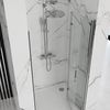 Shower doors Rea Molier Chrome+ profil 100