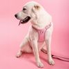 Leash and harness for a dog PJ-060 pink L