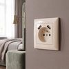 Single grounded socket + 2x USB-A OSTE JNH003-G Beige