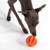 Dog chewing ball PJ-039