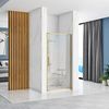 Shower door REA Rapid Swing Brush Gold 80