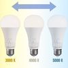 Bombilla LED 5 tonos de luz GLS E27 230V 13W 5CCT