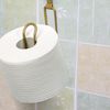 Toilet paper holder 322753