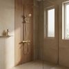 Thermostatic shower system Rea Lungo Diamond Gold Brush