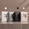 Single grounded socket + 2x USB-A OSTE JNH003-G White
