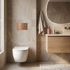 Concealed WC Frame Set Slim 024N with Titan T Brush Copper