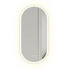 Miroir LED OVAL 50x100cm Gold