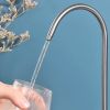 Kitchen faucet Eco Fresh BRUSH NICKEL