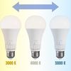 Bombilla LED 5 tonos de luz GLS E27 230V 10W 5CCT