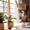 Lamp APP1323-1CP