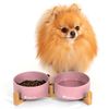 Dog/cat/pet bowl