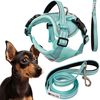 Leash and harness for a dog PJ-053 green S