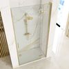 Sprchové dvere Rea Hugo 100 Gold Brush + profil