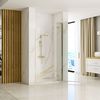 Sprchové dvere Rea Hugo 100 Gold Brush + profil
