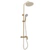 Shower set Rea Roger Gold