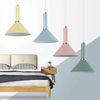 Single Pendant Ceiling Lamp OSTI D Green