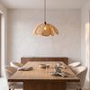 Lampe suspendue APP1954-1CP