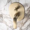 Podomietková sprchová súprava Rea Como M2 Brush Gold + BOX