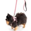 Leash and harness for a dog PJ-048 pink  XS