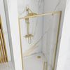 Shower door REA Rapid Swing Brush Gold 80