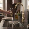 Kitchen faucet Rea Master Brush Gold