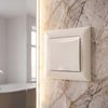 Presa singola con messa a terra e coperchio con cornice OSTE JNH005-G Beige