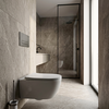 Concealed WC Frame Set Slim 024N with Titan HD Button
