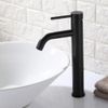 Grifo de LAVABO Rea Lungo Black High