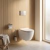 Concealed WC Frame Set Slim 024N with Titan T Brush Steel