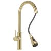 Kitchen faucet Nest Gold