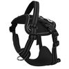 Leash and harness for a dog PJ-051 black  S