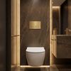 Concealed WC Frame Set Slim 024N with Gold HD Button